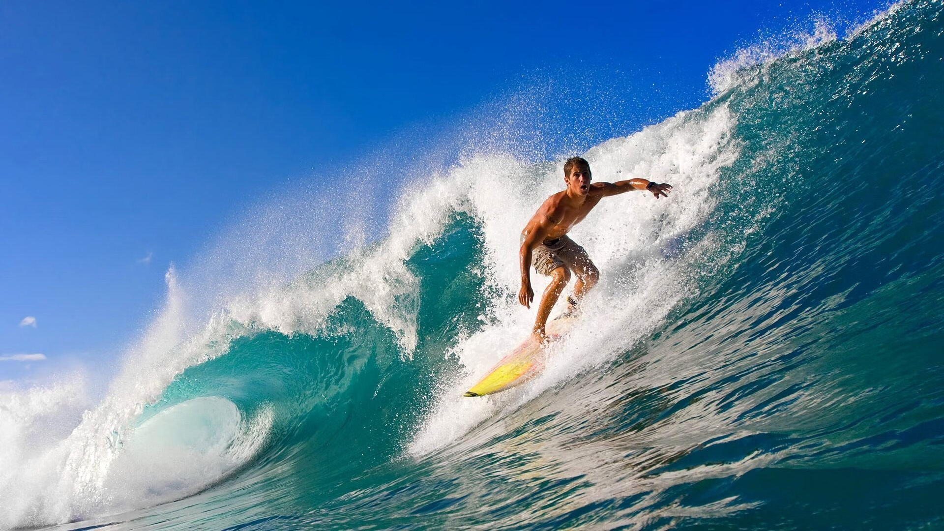 米兰电竞-国际赛事志愿者招募启动，服务队伍迎来检验，赛事志愿者全球招募网络